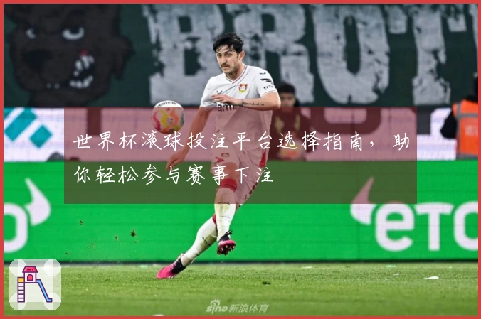 世界杯滚球投注平台选择指南，助你轻松参与赛事下注