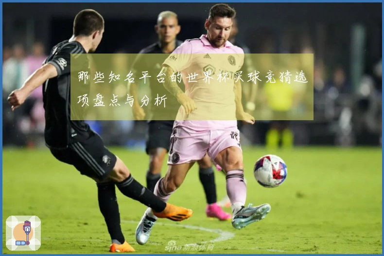 那些知名平台的世界杯买球竞猜选项盘点与分析