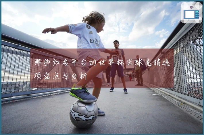 那些知名平台的世界杯买球竞猜选项盘点与分析