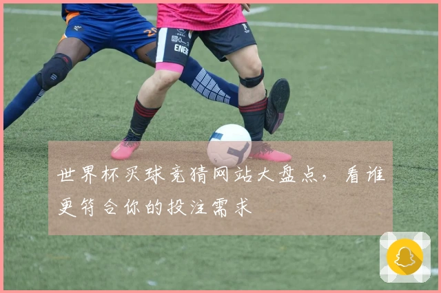 世界杯买球竞猜网站大盘点，看谁更符合你的投注需求