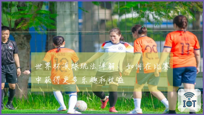 世界杯滚球玩法详解，如何在比赛中获得更多乐趣和收益