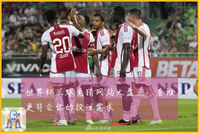 世界杯买球竞猜网站大盘点，看谁更符合你的投注需求