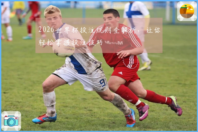 2026世界杯投注规则全解析，让你轻松掌握投注技巧