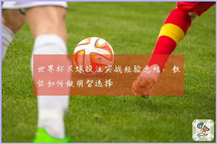世界杯买球投注实战经验总结，教你如何做明智选择