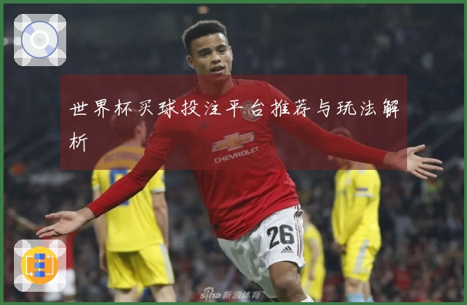 世界杯买球投注平台推荐与玩法解析