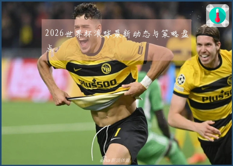 2026世界杯滚球最新动态与策略盘点