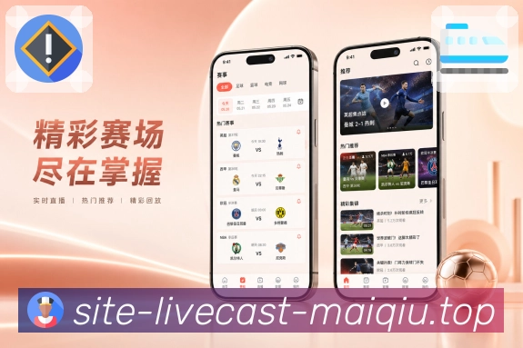 买球站 APP 与网页版界面